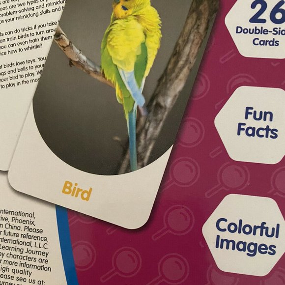 Learning Journey Discovery Cards In & Around 2+Up New - Picture 6 of 9